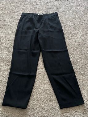Aritzia Babaton Atelier Pants